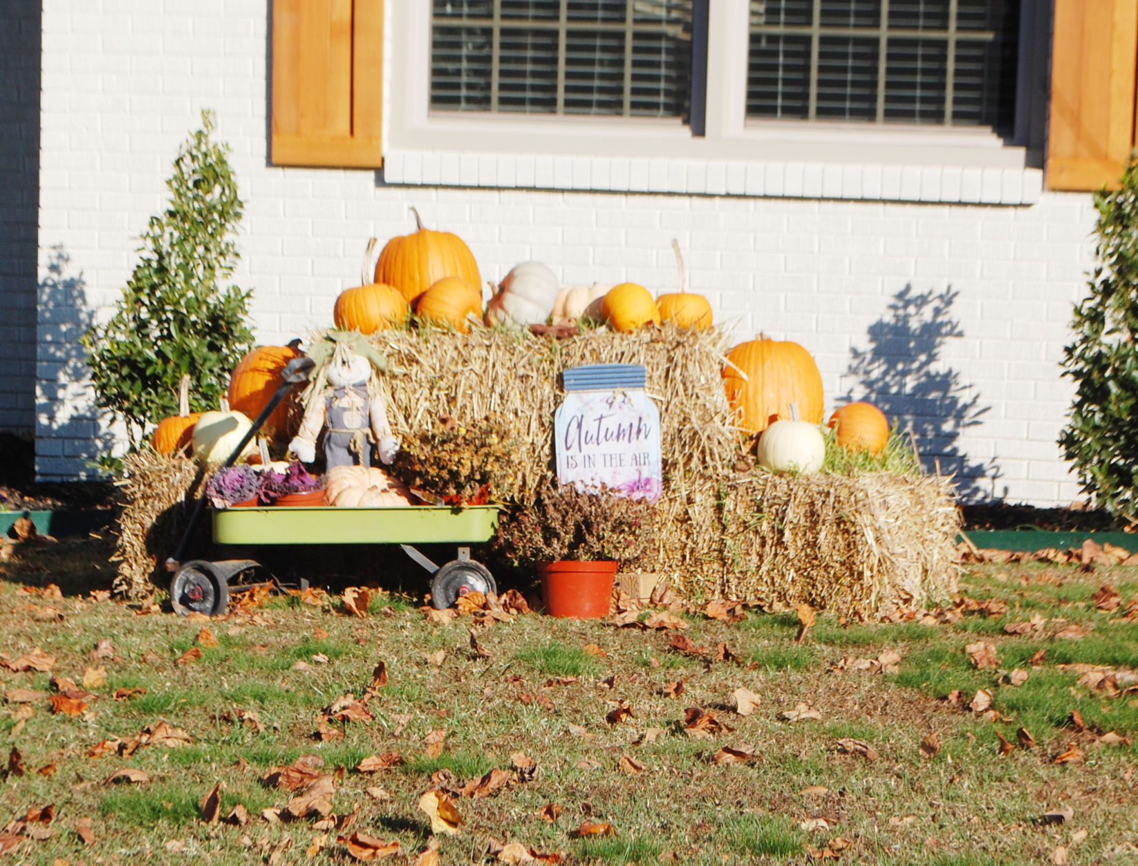 Thanksgiving's just around the corner